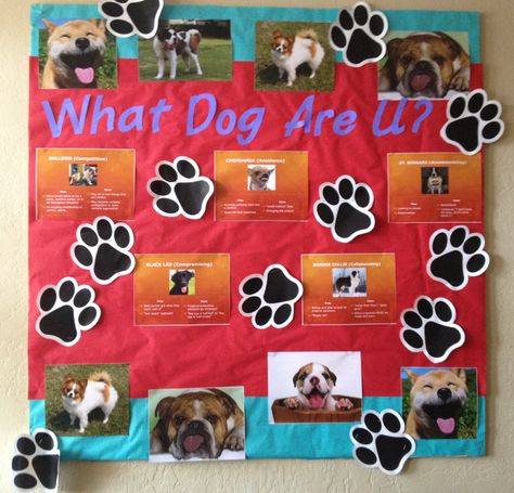 What Dog are U? Veterinarian Poster Board Project, Veterinarian Bulletin Board Ideas, Dog Bulletin Board, Paw Ideas, Big Brother Pregnancy Announcement, Valentine Bulletin Boards, Student Crafts, Office Board, Doggy Daycare