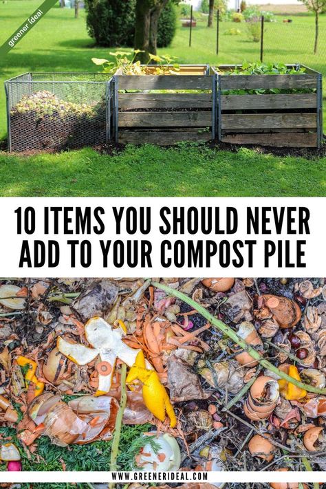 Things You Should Never Add To Your Compost Pile. Compost Pile, Compost Tea, Household Waste, Plant Diseases, Eco Friendly Wedding, Food Garden, Eco Friendly Living, Composting, Sustainable Lifestyle