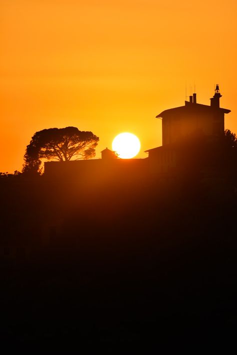 Golden Hour Silhouette, Golden Hour Photos, Silhouette Photography, Florence Italy, Hd Photos, Golden Hour, Florence, In Italy, Italy