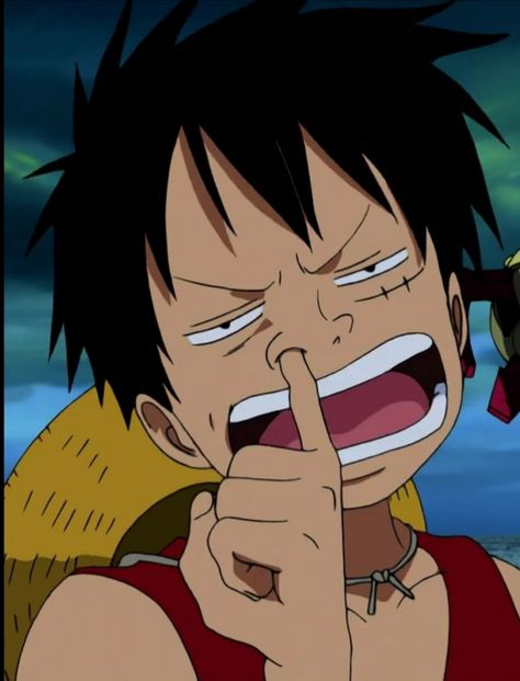 Luffy's Mom, One Piece Photos, One Piece Funny, Iphone Wallpaper Images, One Piece Images, One Piece Pictures, Artist Portfolio, One Piece Luffy, Funny Face