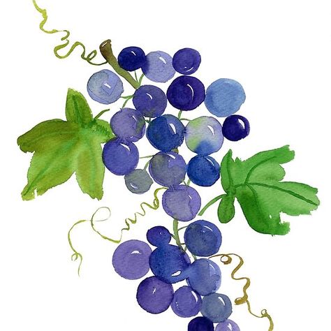 Purple Grapes Fruit Watercolor Watercolor Food Art, Grapes Watercolor, Grape Drawing, Grapes Fruit, Grape Painting, Fruit Watercolor, Zen Painting, Fruit Decor, Purple Wall Art