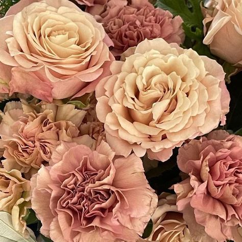 Alexandra Farms on Instagram: "What do you think of our Sahara Sensation garden roses? (photo by @ubloom) #gardenroses #rose #flowers #flowersofinstagram #rosesofinstagram #flower #roses #saharasensationrose" Short Vase, Growing Roses, Garden Rose, Flower Names, Flower Therapy, Rose Photos, Garden Roses, Rose Flowers, Plants And Flowers