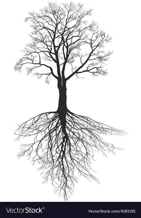 Roots Illustration, Roots Drawing, Tree Roots Tattoo, Tree Sleeve Tattoo, Tree Sleeve, Tree With Roots, Tree Tattoo Men, Roots Tattoo, Tree Drawings Pencil