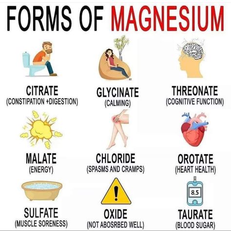 Magnesium Types, Forms Of Magnesium, Best Magnesium, Vitamin A Foods, Nerve Health, Magnesium Citrate, Brain Facts, Health Heal, Muscle Contraction