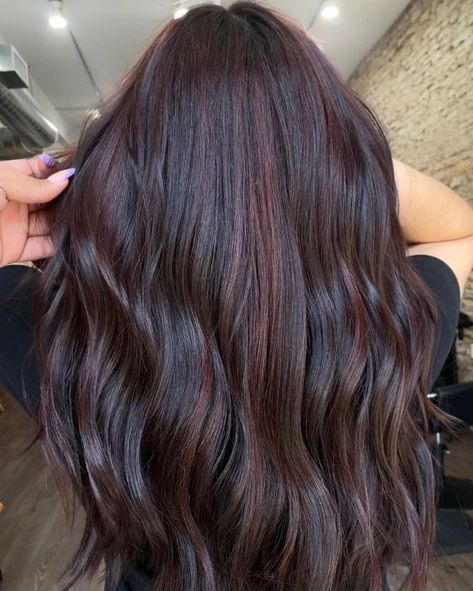 Dark Hair Color Ideas With Red Undertones, Dark Red Hair Color For Brunettes, Cherry Black Balayage, Chocolate Cherry Highlights On Black Hair, Dark Hair Coloring Ideas, Cherry Coke Color, Dark Cherry Black Hair Color, Midnight Cherry Hair Color, Chocolate Cherry Balayage Dark Brown