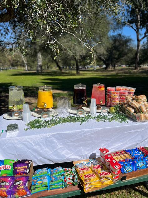 Gender Reveal Party Refreshments Ideas Snacks Table, Snack Display Ideas Party, Food Table Display Party, Park Parties Ideas, Outdoor Food Display, Food Ideas For Park Birthday Party, Kids Party Snack Table, Snack Table For Party, Chips Display For Party