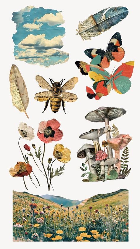 Nature craft collage set, editable design | premium image by rawpixel.com / Nunny Bee Collage, Garden Collage, Paper Clouds, Nature Craft, Wild Meadow, Nature Collage, Artistic Elements, Collage Vintage, Nature Kids