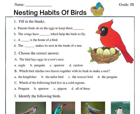 Nesting Habits of Birds. Download Nesting Habits of Birds class 3 worksheet based on the latest cbse syllabus including mcq on nesting habits of birds, fill in the blanks, identifying the birds, long questions and more. Birds Worksheet For Grade 3, Birds Beaks And Claws Worksheet, Types Of Birds Preschool, Birds Nest Activity For Preschool, Build A Bird Nest Activity, Nutrition In Plants, Grade 3 Science, Reading Comprehension For Kids, Worksheets For Grade 3