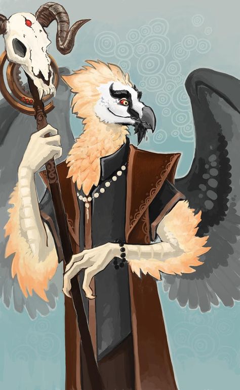 Bearded Vulture, Dnd Druid, Degenerate Art, Bird People, Dnd Races, Character And Setting, Character Collection, Dungeons And Dragons Characters, Dnd Art