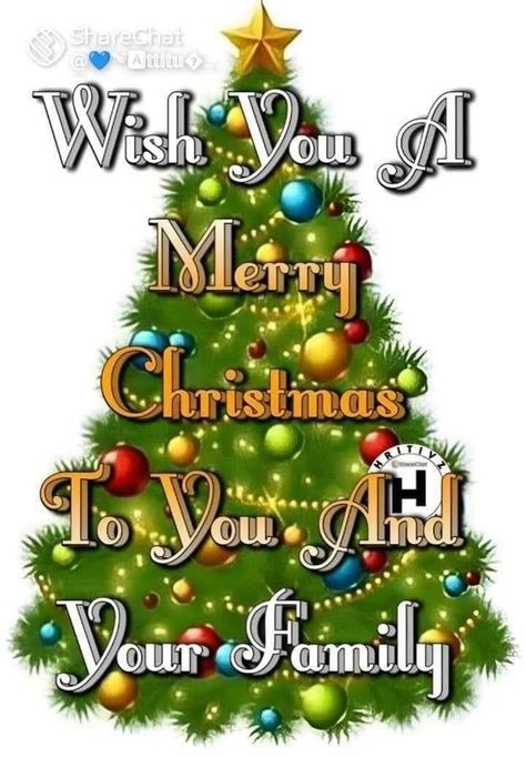 Merry Christmas Greetings Quotes, Happy Birthday Snoopy Images, Merry Christmas Eve Quotes, Holiday Quotes Christmas, Christmas Card Sayings, Happy Christmas Day, Xmas Sticker, Merry Christmas Gif, Merry Christmas Pictures