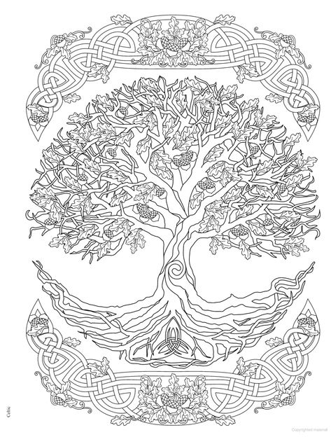 Celtic Coloring, Classy Tattoos For Women, Norse Art, Celtic Animals, Creative Haven Coloring Books, Coloring Pages Inspirational, Tree Coloring Page, Celtic Tree Of Life, Art Nouveau Art