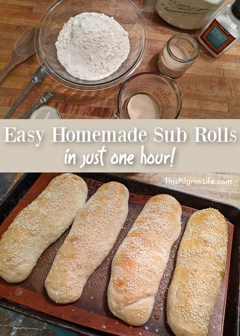 Easy Sub Rolls - This Pilgrim Life Sub Roll Recipe, French Dips, Easy French Bread, Easy Yeast Rolls, Rolls Easy, Sub Rolls, French Bread Recipe, Hoagie Rolls, Meatball Subs