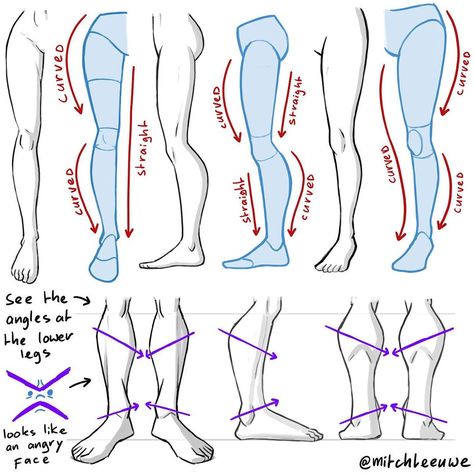 Mitch Leeuwe on Instagram: “Tips for drawing the legs! Using curve against straight always helping with getting nice and appealing drawings. Also funny that you can…” Mitch Leeuwe, Tips For Drawing, Leg Anatomy, Cartoon Drawing Tutorial, Human Anatomy Drawing, Body Drawing Tutorial, Manga Drawing Tutorials, Human Anatomy Art, Human Drawing