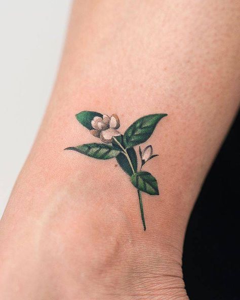 “Sampaguita (Jasminum Sambac), The Philippines’ Sampaguita Tattoo, Philippines Tattoo, Jasmine Tattoo, Jasminum Sambac, Flower Tattoo Meanings, Filipino Tattoos, Flower Tattoo Shoulder, National Flower, Jasmine Flower