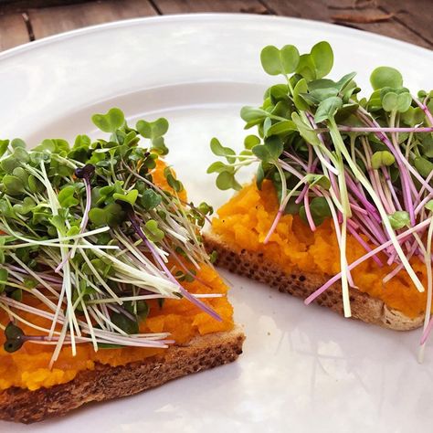 Microgreens and edible garnishes, overlooked yet essential for food presentation, are the focus of Lompoc cultivator's innovation. Wall Garden Indoor, Longevity Recipes, Wall Gardens, Plate Of Food, Fancy Dishes, Mustard Flowers, Food Stamps, Good Witch, Indoor Gardens