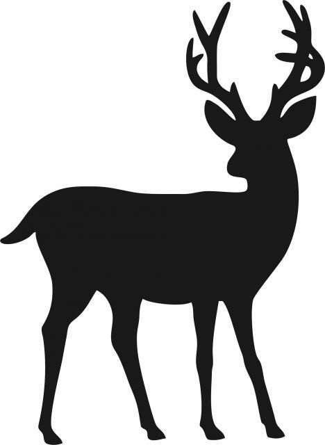 Hirsch Silhouette, Tipografi 3d, Transparent Clipart, Deer Silhouette, Silhouette Christmas, Deer Wall, Silhouette Stencil, Animal Silhouette, Black Silhouette