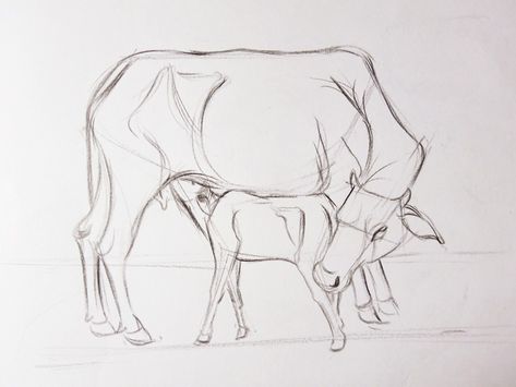 Cow Tutorial Drawing, Cow Anatomy Drawing, Cow Reference Drawing, How To Draw Cows, Cow Drawing Pencil, Cow Calf Drawing, Cow And Calf Drawing, Cow Drawing Sketch, Cow Drawing Aesthetic