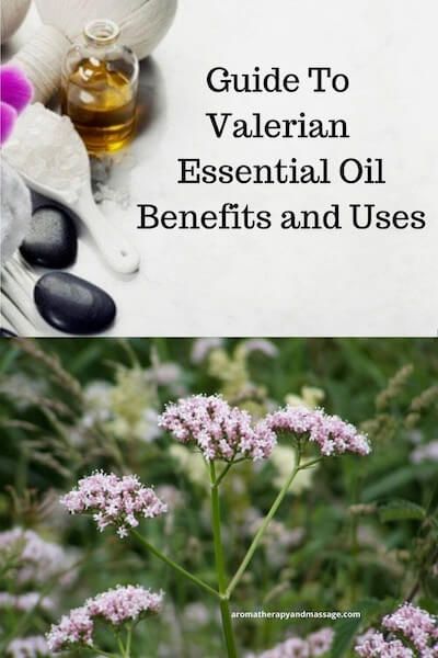 Valerian Essential Oil Blends, Spikenard Essential Oil, Valerian Essential Oil, Valeriana Officinalis, Roman Chamomile Essential Oil, Pine Essential Oil, Vetiver Essential Oil, Essential Oil Safety, Sandalwood Essential Oil