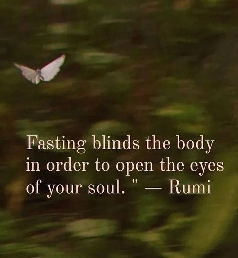 Maulana Rumi, Rumi Quotes Soul, Rumi Love Quotes, Rumi Love, Spiritual Psychology, Sufi Quotes, Inspirational Quotes About Success, Genius Quotes, Rumi Quotes