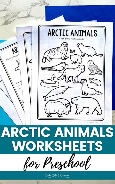 These Arctic Animals Worksheets for Preschool are a great way to engage your kids in learning about the incredible creatures that inhabit the polar regions. With a range of activities that cater to different interests and learning styles, there's something for everyone in this pack. So add these to your homeschool winter curriculum because who knows - your little ones might just discover a new favorite animal! Artic Animals Drawings, Arctic Animals Lesson Plans Preschool, Preschool Artic Animals Activities, Artic Animals Arts And Crafts, Polar Animals Preschool Activities, Arctic Animals Printables, Arctic Animals Preschool Activities, Polar Animals Preschool, Arctic Animals Activities