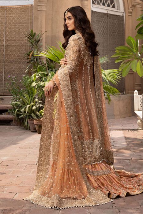 Arjumand Kanwal Malik, Organza Styles, Organza Jacket, Maya Ali, Net Dress, Readymade Saree, Pakistani Outfits, Nude Color, Model Pictures