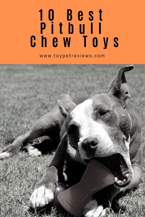 Super Chewer Dog Toys, Diy Dog Toys For Heavy Chewers, Cool Dog Toys, Indestructible Dog Toys, Dog Toys For Aggressive Chewers, Dog Activity, Pit Puppies, Smart Dog Toys, Funny Dog Toys