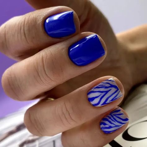 2024 Trends: Short Square Nails in Royal & Navy Blue - Elegant, Sparkle & Simple Designs for the New Year New Years Nails Blue, Blue Zebra Nails, Blue Nails Square, Short New Years Nails, Short Square Nail Designs, Two Color Nails, Short Square Nail, Navy Nails, Navy Blue Nails