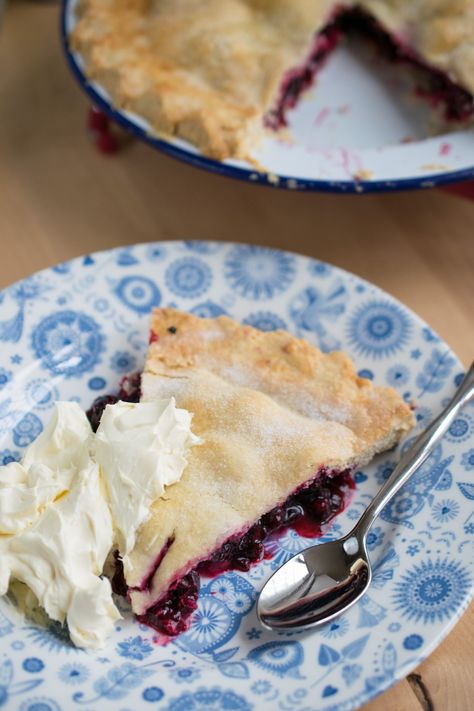 Blackcurrant Plate Pie-10 Currant Recipes, Fresh Blueberry Pie, Dessert From Scratch, Blackberry Pie, Berry Pie, Easy Pie, Fruit Filling, Chocolate Fruit, Fruit Pie