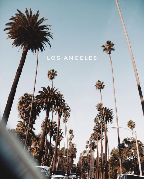 Los Angeles Wallpaper, Los Angeles Aesthetic, Los Angeles Travel, City Of Angels, California Dreamin', Photo Wall Collage, California Dreaming, Summer Wallpaper, City Aesthetic