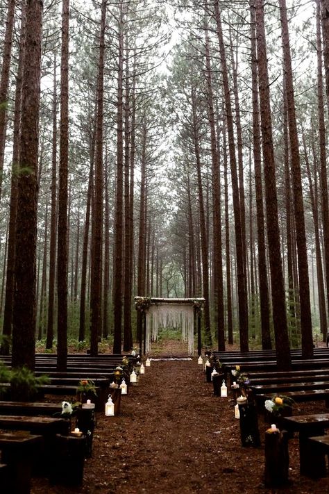 Burlap Wedding Aisle, Wedding Twilight, Forest Wedding Venues, Woodland Wedding Venues, Forest Wedding Venue, Twilight Wedding, Hunter Wedding, Wedding Dresses Whimsical, Romantic Backdrop