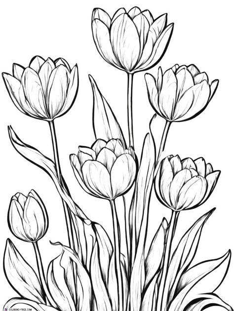 Easter Flowers Drawing, Flower Colouring Pages, Sketching Flowers, Flower Outline, Bee Tattoo, Zentangle Drawings, Pressed Flower Art, Flower Coloring Pages, Hair Coloring