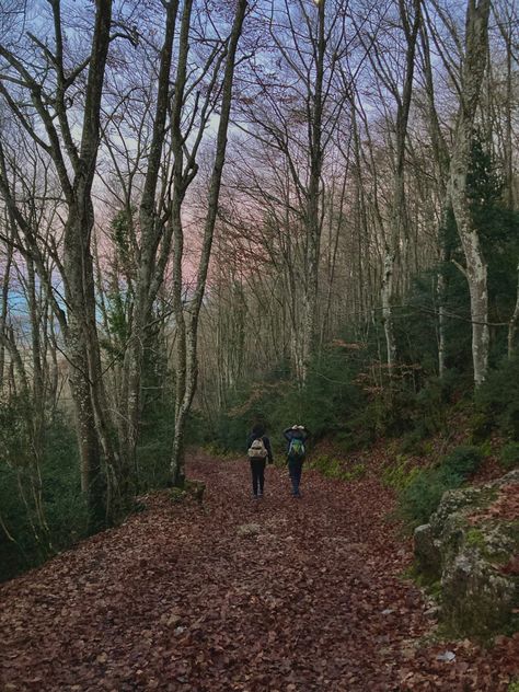 #walking #nature #woods #aesthetic #sunset #green #friendship #hiking Running For Your Life Aesthetic, Walking Through The Woods, Walking In The Woods Aesthetic, Walk In The Woods Aesthetic, Chaos Walking Aesthetic, Walk In Nature Aesthetic, Long Walks Aesthetic, Nature Walk Aesthetic, Mischief Night