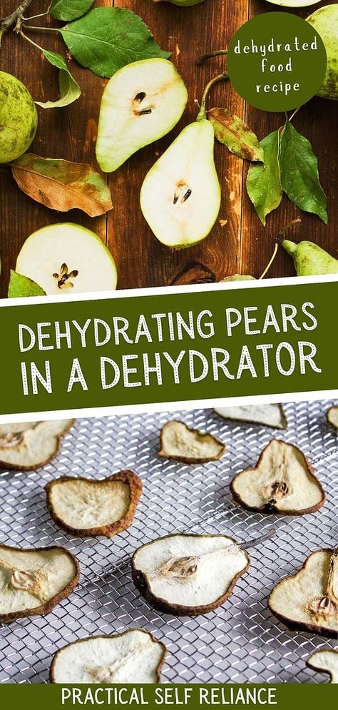 Learn dehydrating pears in a dehydrator for a healthy, long-lasting snack. From Bartlett to Bosc to Asian pears, discover the best varieties for drying and the perfect temperature and time for delicious pear chips. Add a touch of cinnamon for a warm fall treat! Find more preserving pears, storing pears for winter, healthy pear recipes, and Dehydrated Food Recipes & Dehydrator Food Ideas at practicalselfreliance.com. Storing Pears, Dehydrating Pears, Preserving Pears, Fruit Pie Filling Recipes, Canning Fruit Recipes, Pear Chips, Pear Varieties, Asian Pears, Historical Food