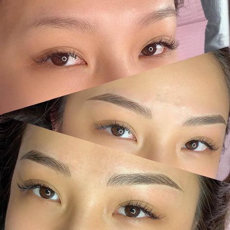 Microshading Eyebrows, Microbladed Eyebrows, Asian Eyebrows, Korean Eyebrows, Brow Tech, Eyebrow Tattoos, Micro Blading, Cosmetic Tattooing, Best Eyebrow Makeup