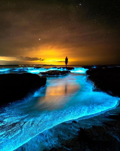 Jervis Bay Australia, Jervis Bay, Yoga Art, Natural Phenomena, Travel Inspo, Australia Travel, Asia Travel, Awe Inspiring, Ocean View