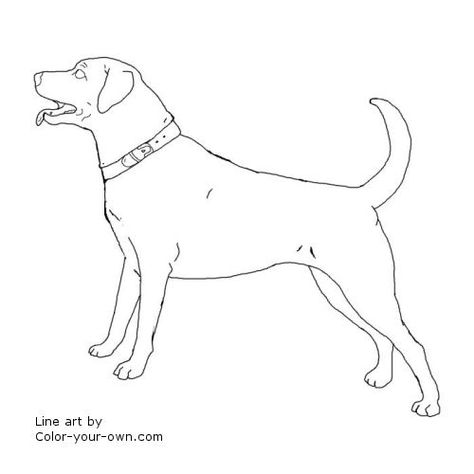 Labrador retriever line art Full Body Outline, Black And White Line Drawings, Dog Patterns, Body Outline, Mosaic Inspiration, Color Book, Line Drawings, Black And White Lines, White Line