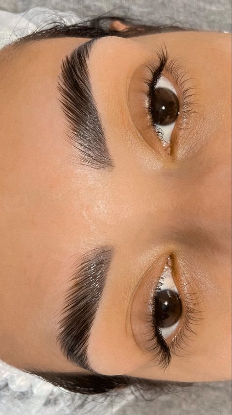 Eye Brown Lamination, Brows Lamination, Natural Brown Lamination, Eyebrow Lamination Thick Brows, Brow Lamination Aesthetic, Eye Brow Lamination Aesthetic, Eyebrows Goals, Brow Threading, Brow Studio