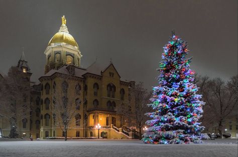 Notre Dame Aesthetic, Notre Dame Apparel, Notre Dame Campus, Notre Dame Indiana, Notre Dame College, Snowy Pictures, Saint Marys College, Life After High School, Go Irish