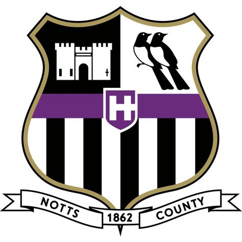 Notts County, Football Logo, Nottingham, Football Team, Football Club, Nfl, Sports Jersey, Football, ? Logo