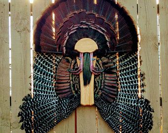 Turkey Feather Decor, Turkey Fan Mount, Turkey Hunting Decor, Deer Mount Decor, Diy Feathers, Turkey Mounts, Deer Hunting Decor, Wooden Turkey, Hunting Crafts