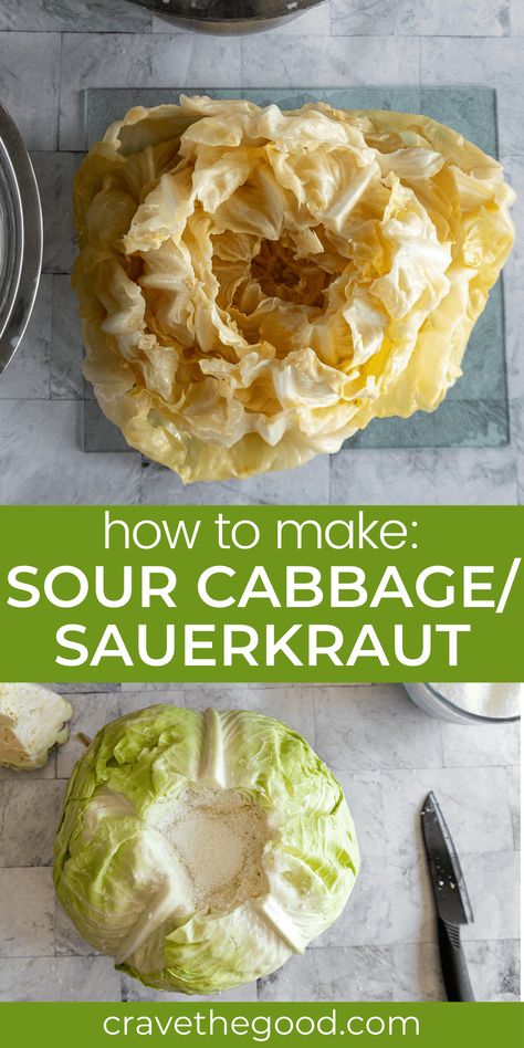 If you're looking to get your hands on some homemade sauerkraut, it's worth taking the time and effort necessary to learn how to make it. In this blog post, we'll discuss in detail how you can go about making a fermented whole head of cabbage for recipes like these delicious Sour Cabbage Rolls. Follow along with our easy guide and see just what all goes into getting that perfect tangy flavor--and then try out one of our favorite recipes using this exciting new ingredient! | cravethegood.com Lazy Cabbage Rolls, Fermented Vegetables Recipes, Making Sauerkraut, Sour Cabbage, Hungarian Food, Homemade Sauerkraut, Cabbage Head, Fermented Cabbage, Sauerkraut Recipes