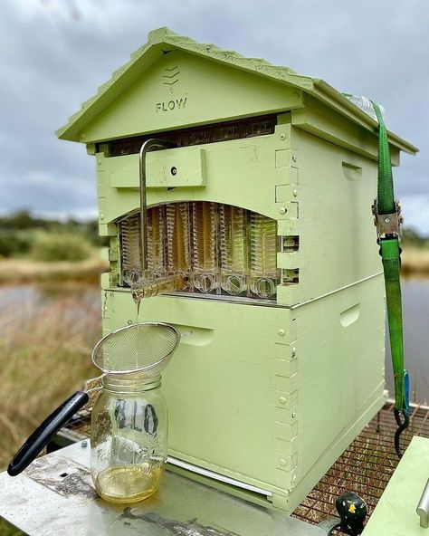 Flow Hive Bee Keeping Aesthetic, Apiary Design, Diy Beehive, Flow Hive, Future Farms, How Do I Get, Bee Keeping, Bee Hive, Get Started