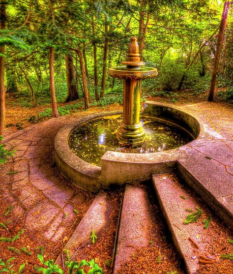 Fountain of Youth? Wishing Wells, Magic Fountain, Pond Ideas, Awesome Architecture, Paradise Garden, Desert Garden, Frog Prince, Forest Garden, Fountain Of Youth