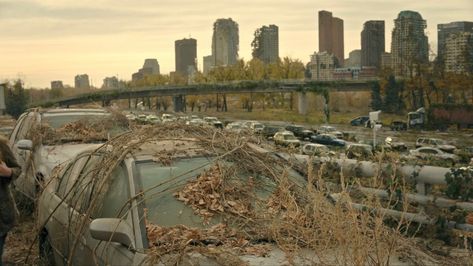 the last of us joel miller The Last Of Us Hbo Aesthetic, Apocalypse City, The Last Of Us Joel, Tlou Aesthetic, Last Of Us Joel, Apocalypse Landscape, Dystopian Aesthetic, Apocalypse Aesthetic, Abandoned Cities