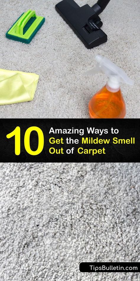 Musty Smell In House, Smelly Carpet, Carpet Odor Remover, Benefits Of Baking Soda, Mold Smell, Mold Spray, Smell Remover, Carpet Smell, Vinegar And Baking Soda