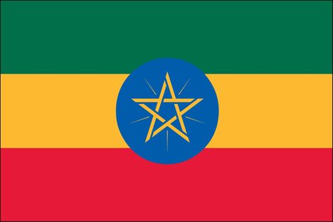 Our premium 3ft x 5ft Polyester Ethiopia indoor flags are made of all-weather polyester with header tape and 2 metal grommets. The flag is dye-sublimated with beautiful bold colors. Printed on one side all the way through the fabric. Double-stitched around all edges with 4 rows of stitching on fly edge. These indoor international flags can be used outside for a limited time. Flags are great for decorating with or waving in a parade to show your national pride! Flags capture attention and draw pe Ethiopian Flag, Ethiopia Flag, Jamaican Flag, National Flags, International Flags, National Symbols, Custom Flags, Flag Sizes, Outdoor Flags