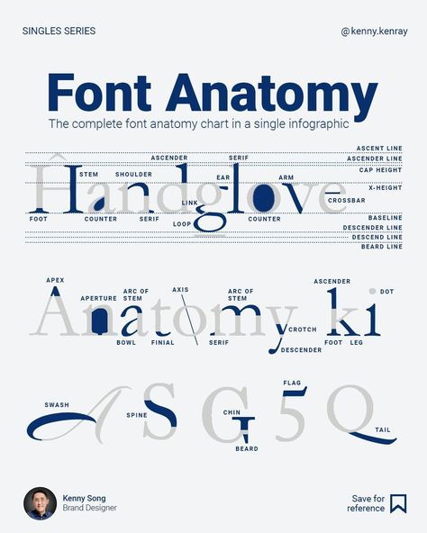 Kenny Song | Brand Designer | Here is the complete font anatomy chart on one slide. Why not? It’s great for reference. No doubt you know the difference between serif… | Instagram Font Anatomy, Anatomy Of Typography, Beard Line, Anatomy Chart, Physical Traits, No Doubt, Brand Designer, Fonts Design, Family Tree