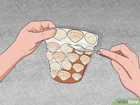 How to Make a Seashell Planter: 12 Steps (with Pictures) - wikiHow Life Shell Planter Ideas, Shell Succulent Planter, Sea Shell Planters, Seashell Terracotta Pots, Seashell Planters Flower Pots, Seashell Flower Pot, Oyster Shell Planter, Seashells In The Garden, Seashell Planter