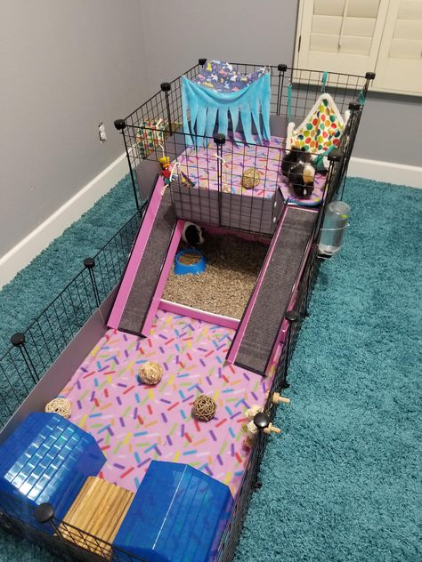 Ginny Pig Cages Ideas, Ginny Pigs Cages, Rabbit Shed, Diy Guinea Pig Cage, Guinea Pig Diy, Guinea Pig Hutch, Pet Shed, Guinea Pig House, Bunny Room