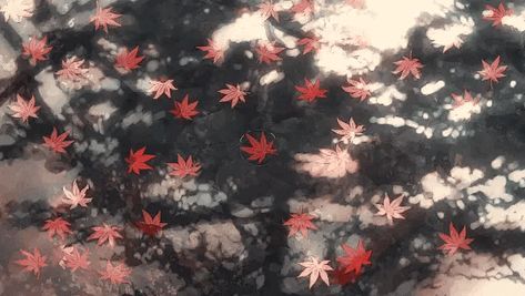 Fall Gif, Falling Gif, Fall Anime, Gif Background, Fall Banner, Banner Gif, Anime Gifs, Header Banner, A Silent Voice